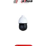Camera CCTV DH-SD49225DB-HNY